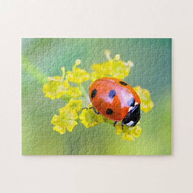 Puzzle dama encima (Horizontal)