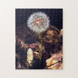 Puzzle Dandelia