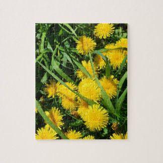 Puzzle Dandelion Patch
