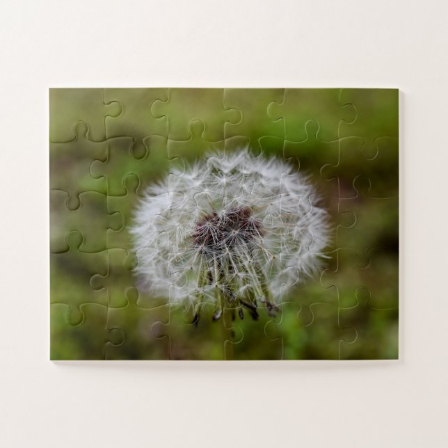 Puzzle Dandelion Seeds (Horizontal)