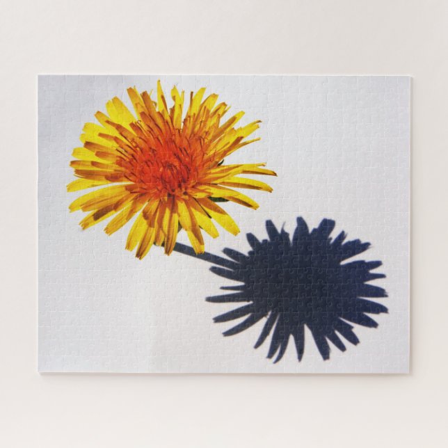 Puzzle Dandelion y Shadow 16x20 520pc jpcna (Horizontal)
