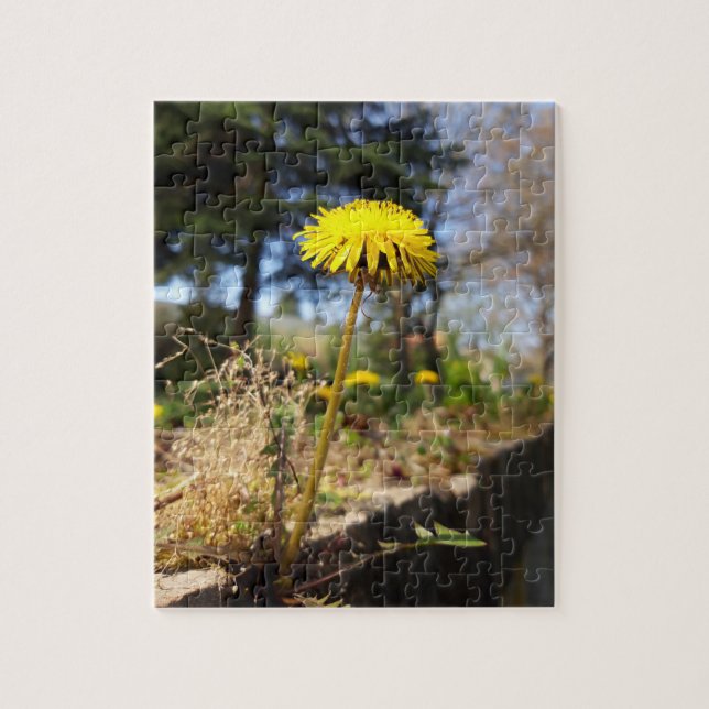 Puzzle Dandelions al sol (Vertical)
