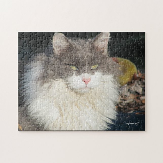 Puzzle Dandy Lion (Horizontal)