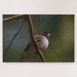 Puzzle Dark Eyed Junco