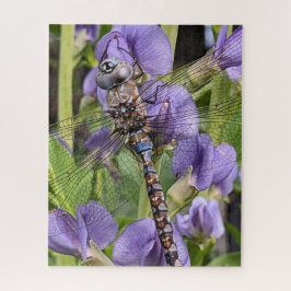 Puzzle Darner Dragonfly de ojos azules sobre la flor