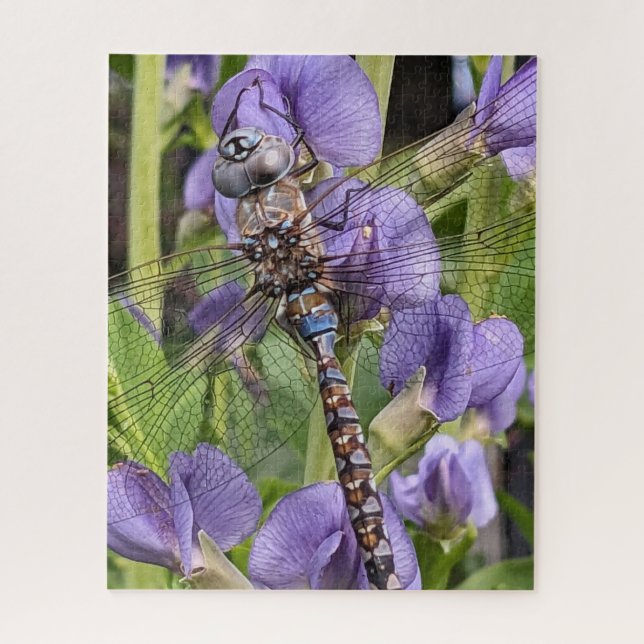 Puzzle Darner Dragonfly de ojos azules sobre la flor (Vertical)