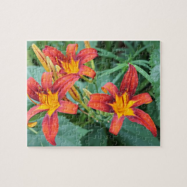 Puzzle Day Lily Delight (Horizontal)