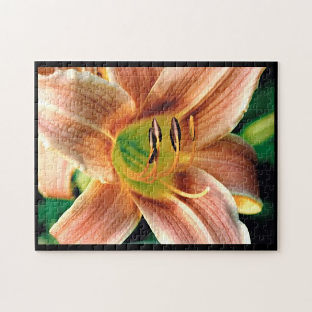 Puzzle Daylily Macro (Horizontal)