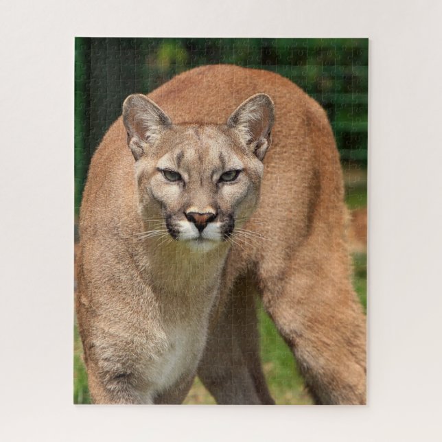 Puzzle de Cougar Lion Jigsaw (Vertical)