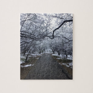 Puzzle de escena de nieve de Arizona - 110 piezas