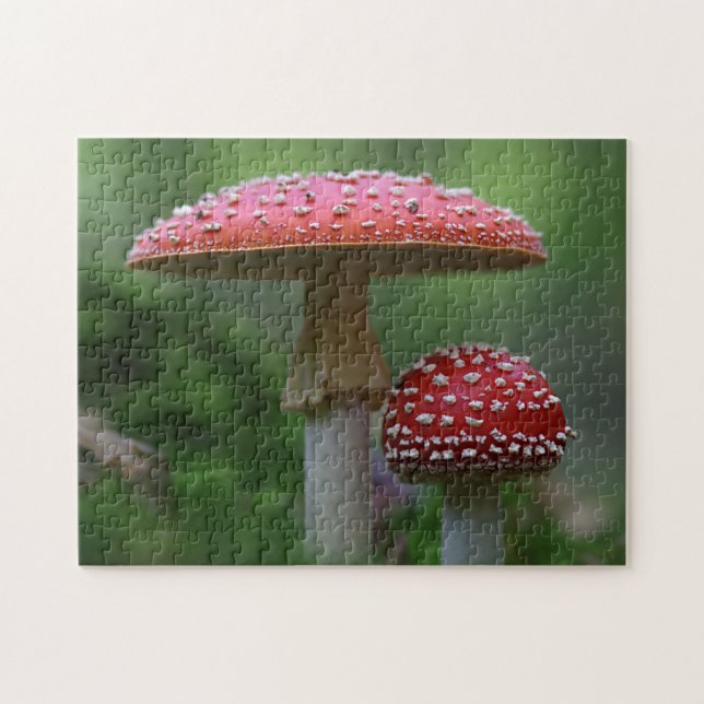 Puzzle de fotos de hongos rojos volados (Horizontal)