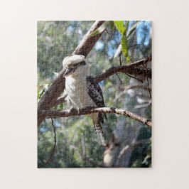 Puzzle de fotos de Kookaburra
