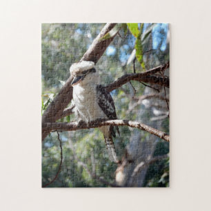 Puzzle de fotos de Kookaburra