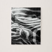 De la cebra cierre para arriba