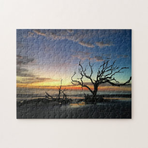 Puzzle de la isla jekyll 2021