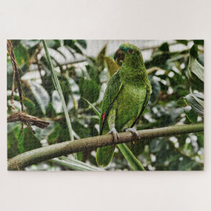 puzzle de loro verde