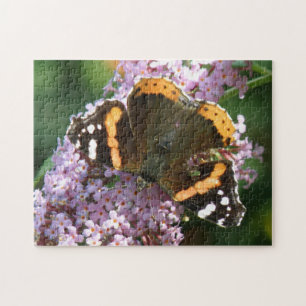 Puzzle de mariposa y flores en Admiral Rewd