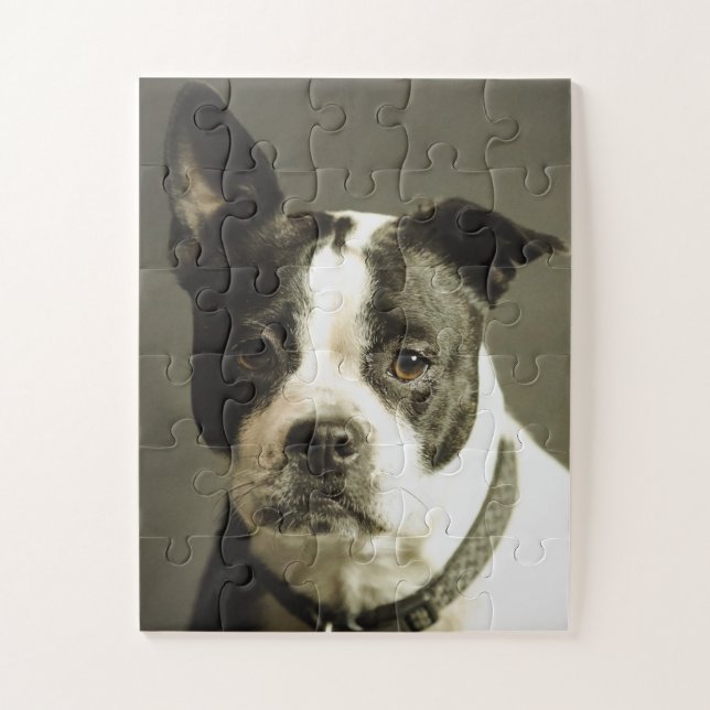 PUZZLE DE PERRO, PERRO NEGRO Y BLANCO (Vertical)