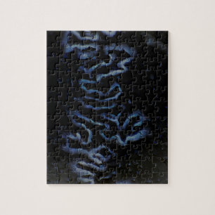 Puzzle de resaltado de Fontanelle