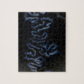 Puzzle de resaltado de Fontanelle