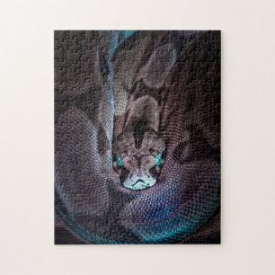 Puzzle de serpiente de ojos azules