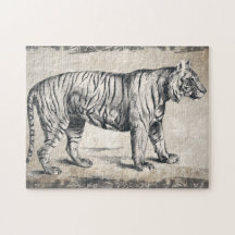 Decoración de tigres de vida silvestre