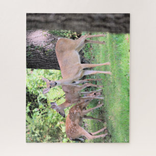 Puzzle Deer