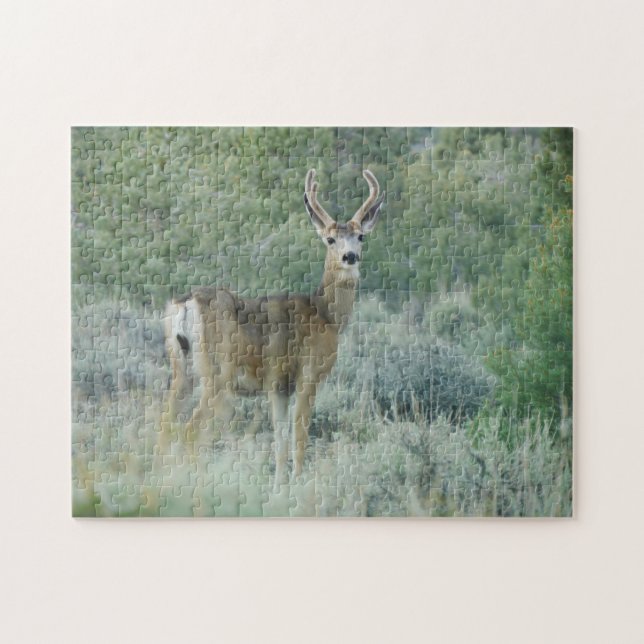 Puzzle Deer (Horizontal)