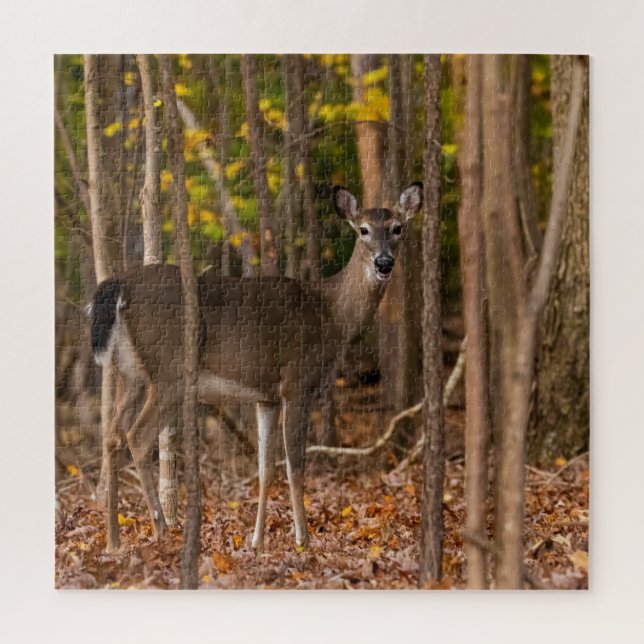 Puzzle Deer in Woods (Vertical)