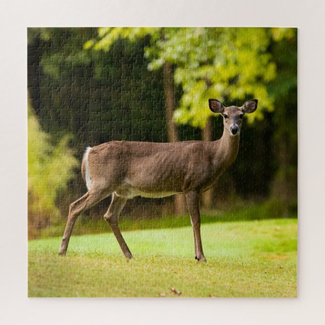 Puzzle Deer on Golf Course (Vertical)