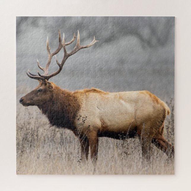 Puzzle Deer Stag Animals Wildlife Nature Buck (Horizontal)