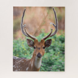Puzzle Deer Stag Antlers Vida silvestre Woodland