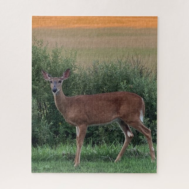 Puzzle Deer Whitetail Doe Hayfield al atardecer de la noc (Vertical)