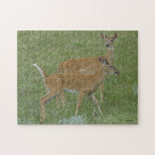 Puzzle Deer Young Bucks D6 de cola blanca