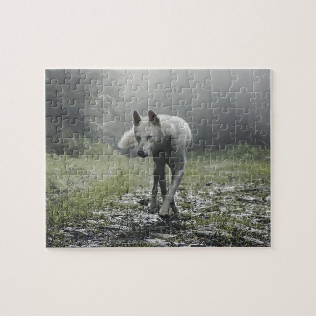 Puzzle del Husky Jigsaw Blanco Siberiano (Horizontal)