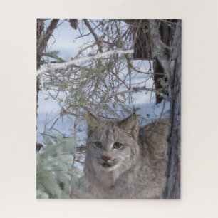 Puzzle del lince canadiense