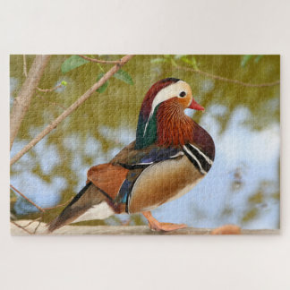 Puzzle del pato mandarín de 1000 piezas