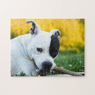 Puzzle del perro del ala del toro de Staffordshire
