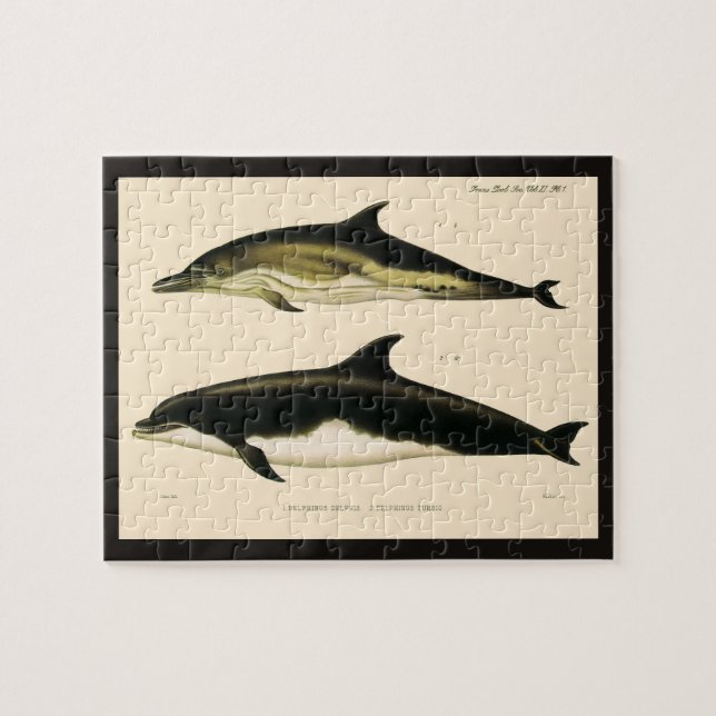 Puzzle Delfines antiguos, animales y mamíferos marinos (Horizontal)