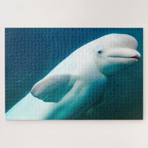 Puzzle Delfines blancos de los mares.