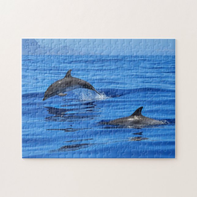 Puzzle Delfines felices (Horizontal)