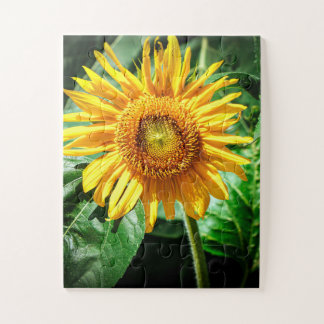 Puzzle Delicia de Girasol