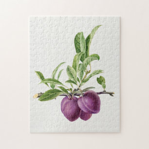 Puzzle Deliciosa ciruela púrpura en una pintura de bifur