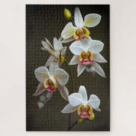 Puzzle Dendroium Orchids