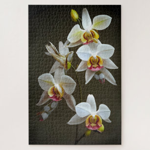 Puzzle Dendroium Orchids