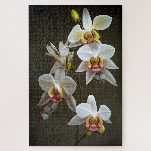 Puzzle Dendroium Orchids (Vertical)