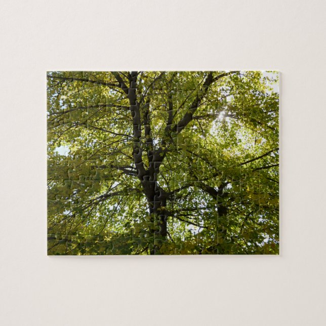 Puzzle Dentro de un árbol de arce amarillo otoño (Horizontal)
