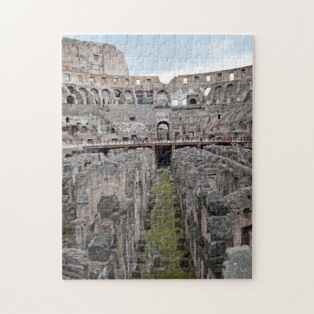Puzzle Dentro del Coliseo - Roma - 11x14 - 252 pcs (Vertical)