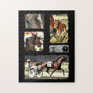 Puzzle Deporte de las Carreras de arnés