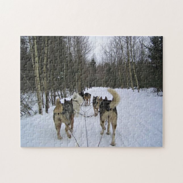 Puzzle Derrame de perro en Quebec, Canadá (Horizontal)